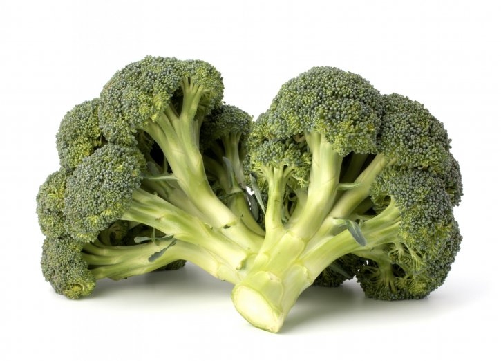 brocoli-planta-soria-natural