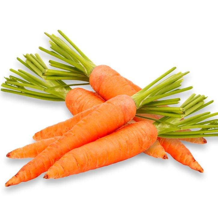 zanahoria-planta-soria-natural