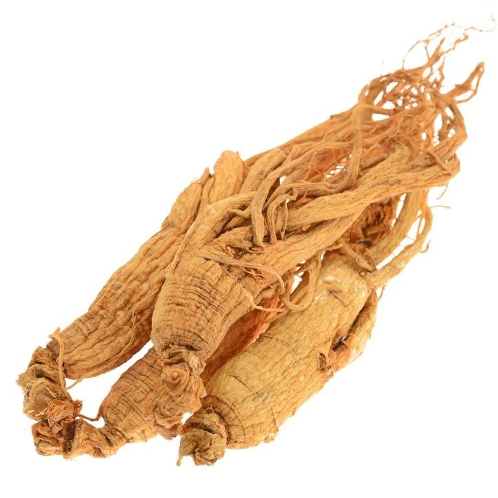 ginseng-planta-soria-natural