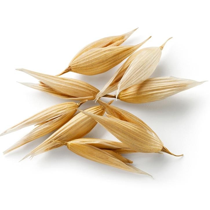 avena-planta-soria-natural.jpg.jpg