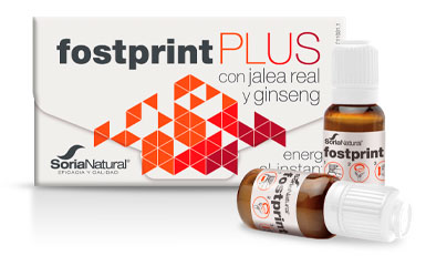 Fostprint Plus