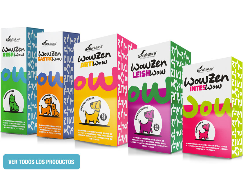 Productos WowZen