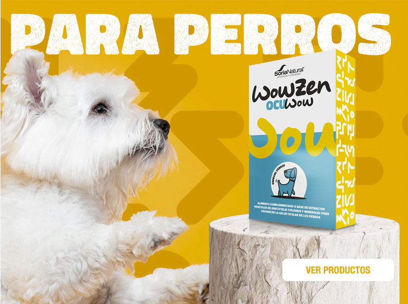 WowZen para perros