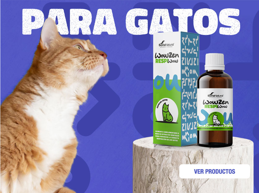 WowZen para gatos