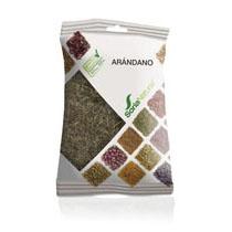 arándano-bolsa-soria-natural