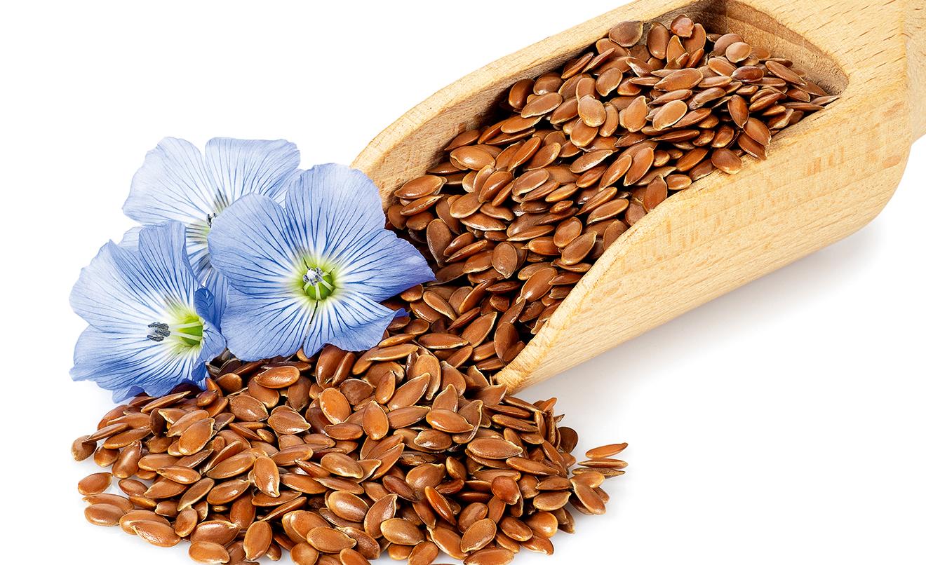 Benefícios das sementes de linhaça en Soria Natural