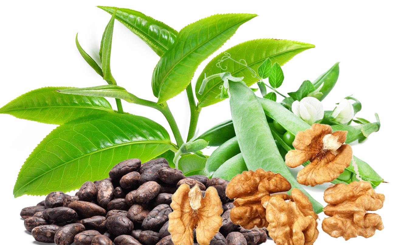 10 foods to be full of energy in spring