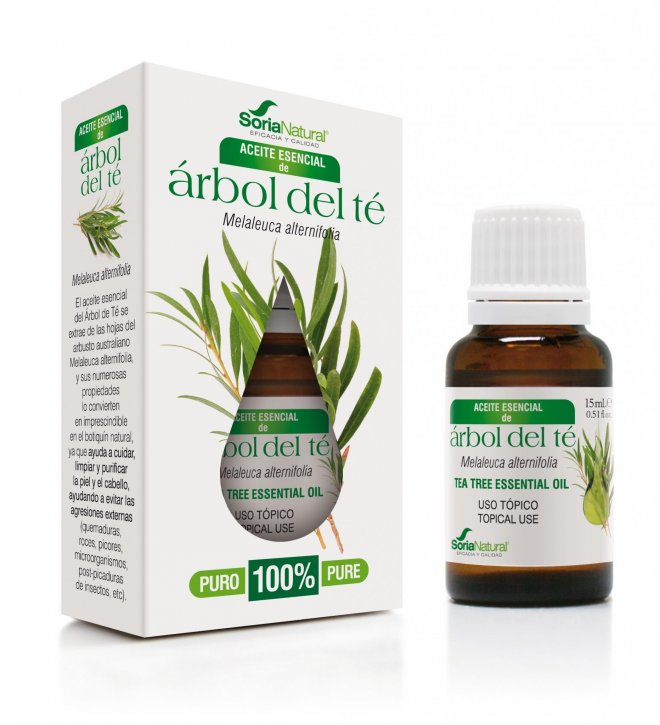 Árbol de té, remedio natural contra los piojos. - El Granero